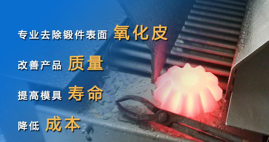 齿轮222 logo.jpg